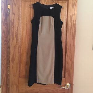 Calvin Klein Dress (Fitted)